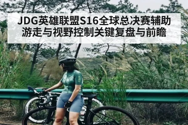 JDG英雄联盟S16全球总决赛辅助游走与视野控制关键复盘与前瞻